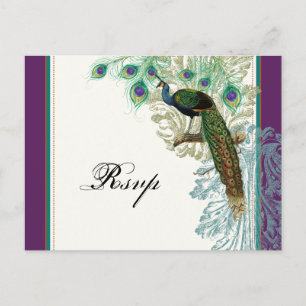 pauw, veren - RSVP Response Briefkaart