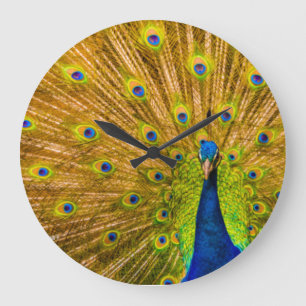 Pauw, Zilverwatervallen, Kauai, Hawaï Grote Klok