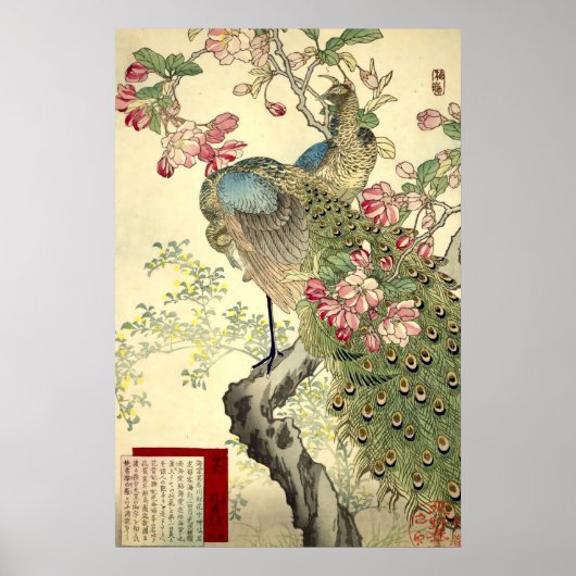 Pauwen & Appelbloes Oude Japanse Stijl Poster (Voorkant)