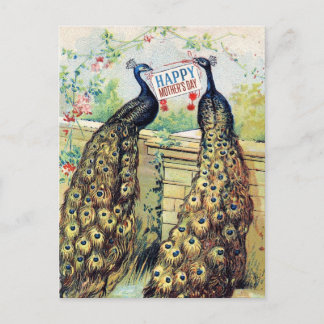  pauwen - Happy Moederdag Briefkaart