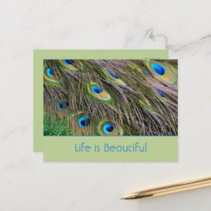 Pauwenopluimen Vogel Kauai (mijn fotografie) Briefkaart
