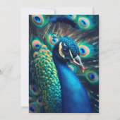 pauwenprofiel kaart (Achterkant)