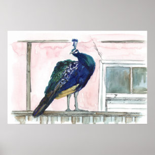 Pauwentuin Huis Raam Roze Aquarel Poster