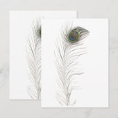 Pauwestaartveer Uitnodiging Briefkaart (Voorkant / Achterkant)