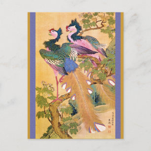 pauwnoot briefkaart