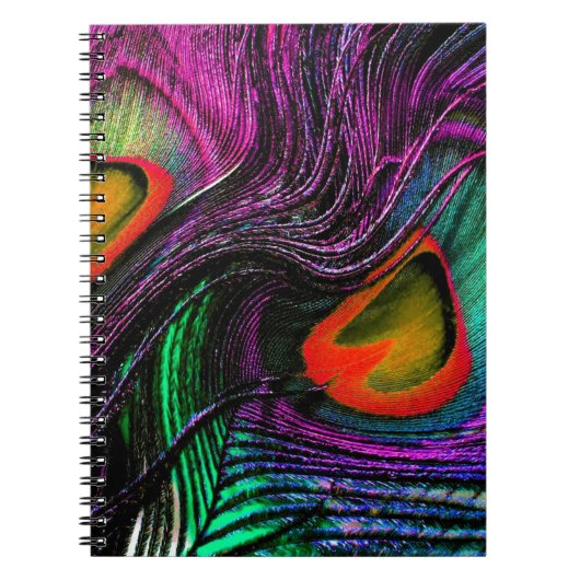 Pauwveer regenboog notitieboek (Voorkant)
