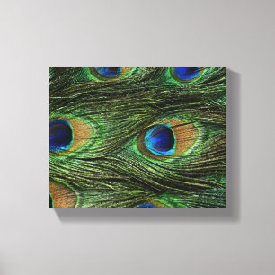 Pauwveren Canvas Afdruk
