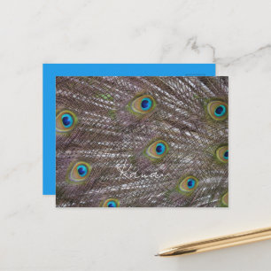 Pauwveren Kauai Briefkaart