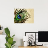 Pauwveren op muurposter poster (Thuiskantoor)
