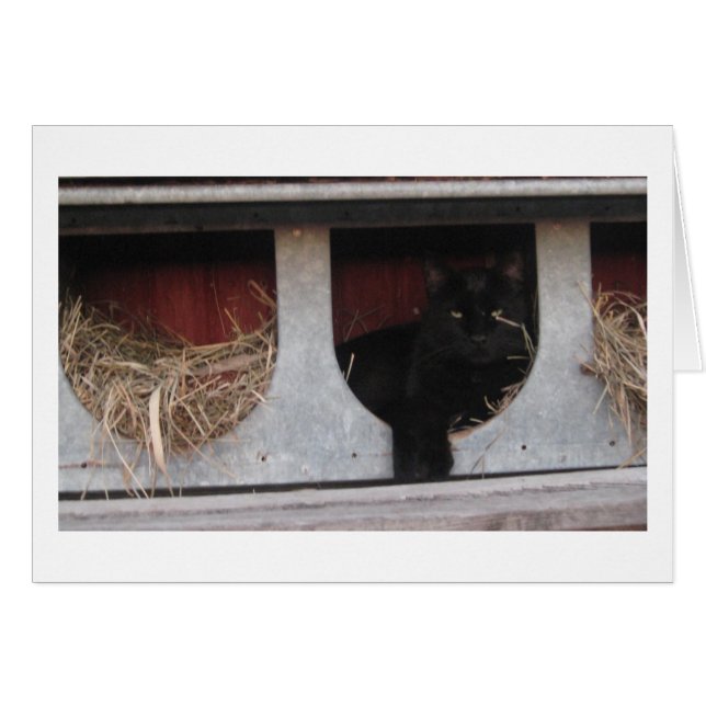 pauze (Voorkant Horizontaal)