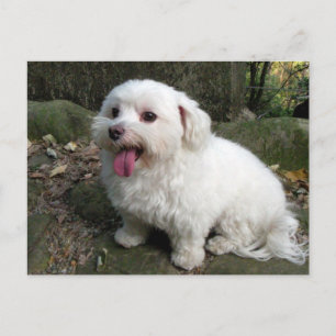 Pauze tijd briefkaart