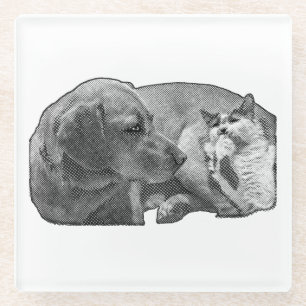 Pauze van het schip, Tiny Pact Glazen Onderzetter