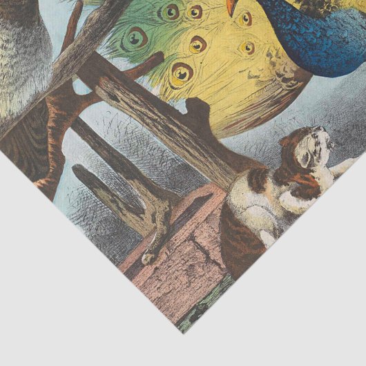 pauzes en een kat tissuepapier (Detail)