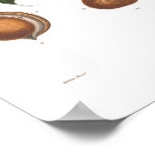 Pavia, rode buckeye poster (Hoek)