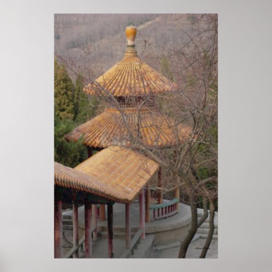 Pavilion Poster (Voorkant)