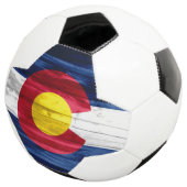 Pavillon du Colorado de Bois (3/4)