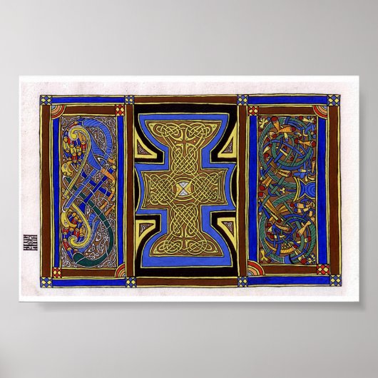 Pavo Floris Poster (Voorkant)