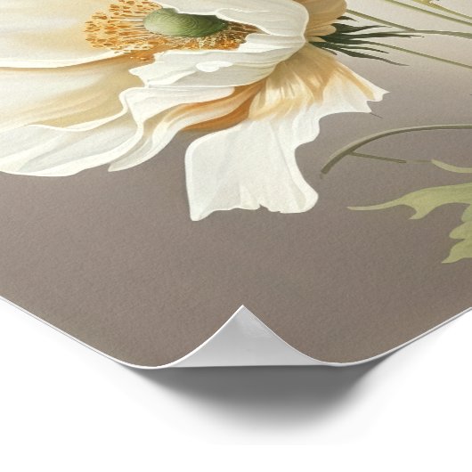 Pavot blanc Fleurs Art Imprimer Poster (Coin)