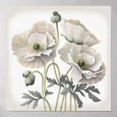 Pavot blanc Fleurs Art Imprimer Poster (Devant)
