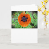 Pavot, carte (Fleur jaune)