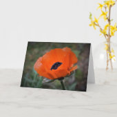 Pavot, carte (Fleur jaune)