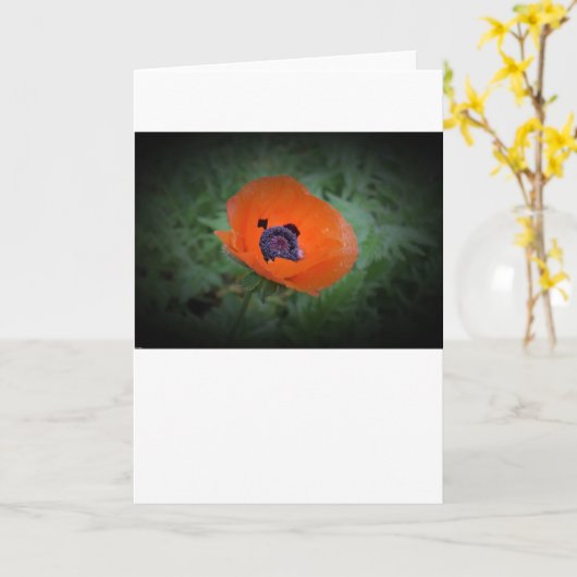 Pavot, carte (Fleur jaune)