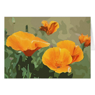 Pavot de Californie