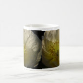 Pavot islandais - tasse (Centre)