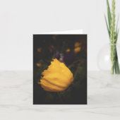 Pavot jaune (Devant)