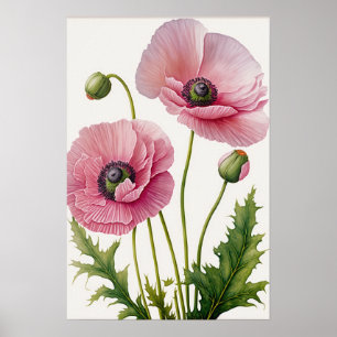 Pavot rose Fleurs Art Imprimer Poster