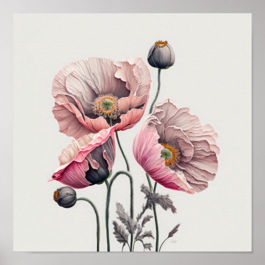 Pavot rose Fleurs Art Imprimer Poster (Devant)