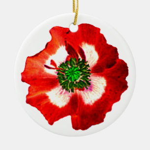 Pavot Rouge blanc Vert ornement plaine