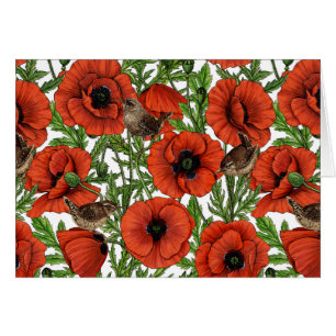 Pavot rouge et brindilles, feuilles verts sur blan