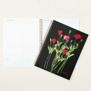 Pavot rouge prairie estivale, fleurs sauvages