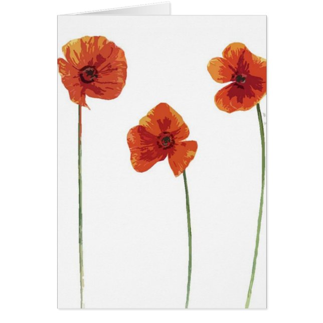 Pavot trois (Devant)