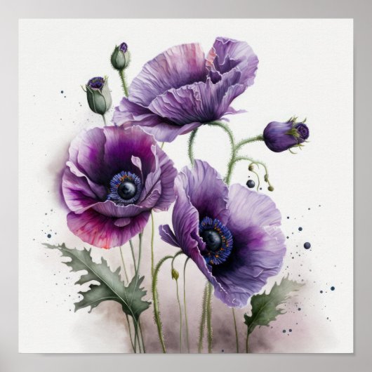 Pavot violet Fleurs Art Imprimer Poster (Devant)