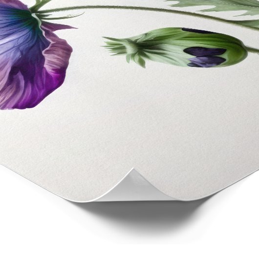 Pavot violet Fleurs Art Imprimer Poster (Coin)