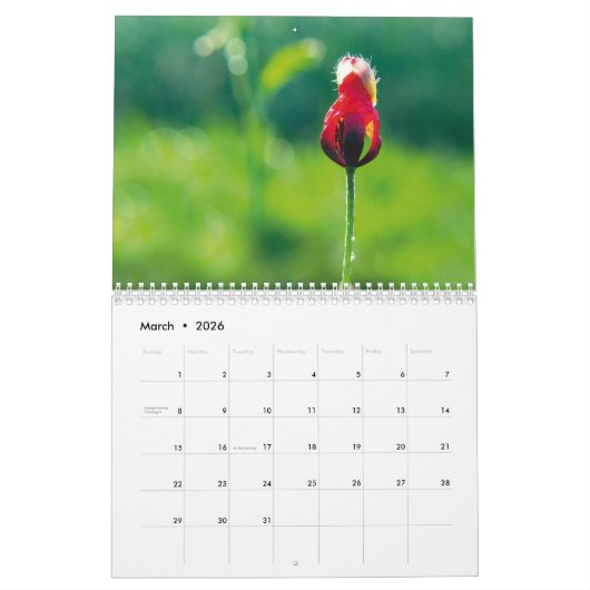 Pavots dans mon jardin de pavot - calendrier de (Mar 2026)