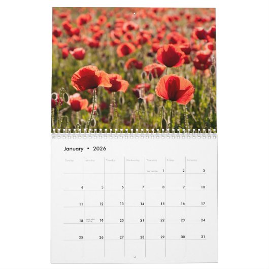 Pavots dans mon jardin de pavot - calendrier de (Jan 2026)