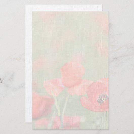 Pavots dans une papeterie de champ de pavot (Devant / Derrière)