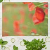 Pavots dans une serviette de cuisine de champ de (Plié)