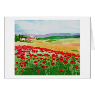 Pavots en Toscane