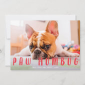 Paw Humbug Funny mignon Chien Chat Carte photo de  (Devant)