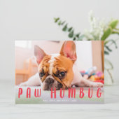 Paw Humbug Funny mignon Chien Chat Carte photo de  (Debout devant)