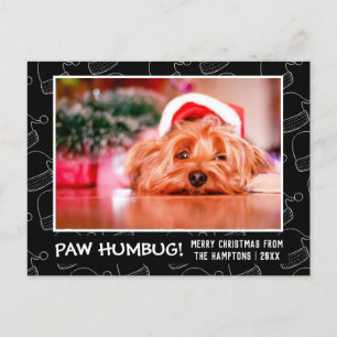 Paw Humbug Pet Foto Black Santa Hat Feestdagenkaart