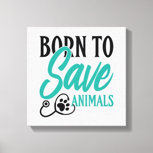 Paw Print and Stethoscope Heart Graphic (Voorkant)