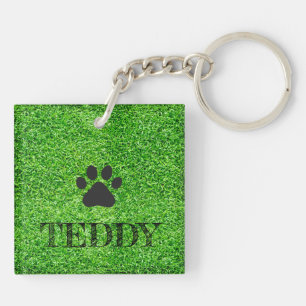 Paw Print PET NAAM Gras Hond Kat Sitter Fun Sleutelhanger