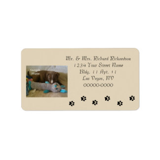 Paw Prints Foto Tan Adres Grote labels toevoegen