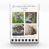 Paw Prints & Herinneringen-Aangepaste Pet-Cat Fotoblokken (Voorkant)