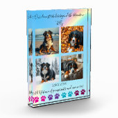 Paw Prints & Herinneringen-Custom Rainbow Dog Memo Fotoblokken (Links)